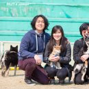 시바나라 이미지