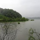 박인수농장 이미지