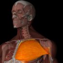 골드스타짐 이미지