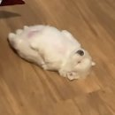 자매란 평생 보장된 친구 사이❤️