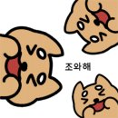 꼬무마켓 네이버블로그