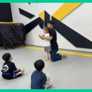 용인대대영태권도 이미지