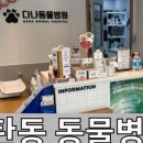 펫클럽우만
