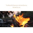 자연송림 이미지