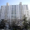 하단동1175 이미지