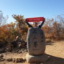 경북청과 이미지