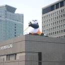 롯데백화점헤지스레이디