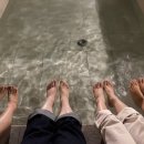 경주스테이 희재 이미지