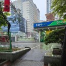 민속전 | [안양/평촌 술집] 비오는 날 막걸리에 민속전, 백종원의 3대천왕 맛집 쿠시카츠 쿠마