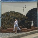 금빛 반달고개 이미지