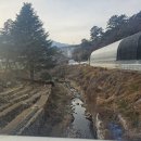 중앙대로-2 이미지