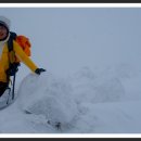 삼영목장 이미지