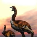 코끼리협동조합 이미지