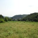 광탄공인중개사사무소 이미지