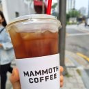 매머드익스프레스 티스토리
