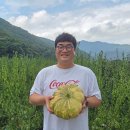 이음새