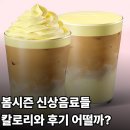 슈텐 | 스타벅스 슈크림라떼 vs 슈폼라떼 vs 텐퍼센트 꾸덕라떼, 카페 달달음료 칼로리비교후기