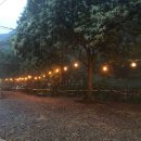 하얀둥지 이미지