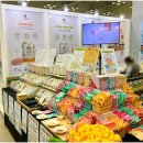 배드펫컴퍼니 이미지