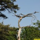 마음의 양식 이미지