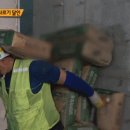 한 번에 시멘트 5포대(200kg) 나르는 곰방의 달인.gif 이미지