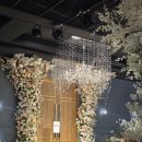 메종드보네르 주식회사 | 대전 메종드보네르 웨딩홀 솔직 후기 | 대관료, 식대, 보증인원, 뷔페, 주차장