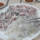용궁건어물센타 | [내돈내산] 사천여행 삼천포 용궁수산시장 활어회센터 &초장집 후기