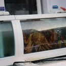 부자축산 이미지