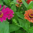 용비쉼터 이미지