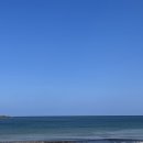 보물섬횟집 이미지