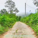 파평체육공원(야구장) 이미지