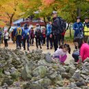 강천산군립공원 이미지