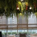 비디피트 이미지