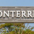 몬테르니 이미지