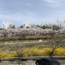 일층카페바