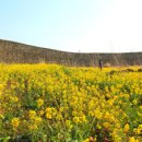 하도별방진 이미지