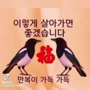 행복한 수요일 하트 ❤️ 이미지