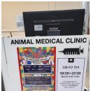 정직한동물의료센터 이미지