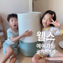 가든. 자연 담다 | [리뷰] 웰스 에어가든 공기청정기 27평형 허브그린 설치 후기 :: 미세먼지·냄새 제거 최고!