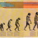 고든몸한의원 이미지