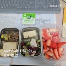 서우샤브샤브 | [근테크]급식 대신 도시락 싸봤어요｜교사 도시락 다이어트 1주일 기록 (솔직 후기)