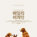 어게인생