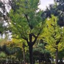 가좌이음숲 이미지