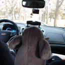 수원가톨릭대학교 대학원 | [성당언니I당나귀] 수원 가톨릭 대학교 직 수여 미사 후기(feat.코끼리)