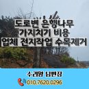 아래짓들 도로변 | 도로변 은행나무 가지치기 비용 업체 전지작업 수목제거
