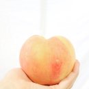 백천농장 이미지