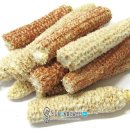 옥수수 동물병원 이미지