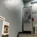 Cafe공감 | [내돈내산]서울강동 천호역 감성카페 솔리(cafe.sloely) 케이크 맛집 (메뉴/후기)