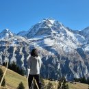 차박사 | 스위스 박사 두 달 차 후기: 좋아하는 일 하면서 돈 벌기