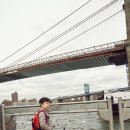 디스팩토리 이미지